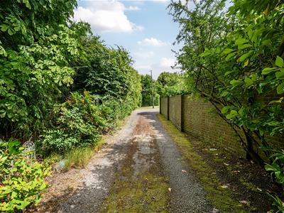 Picture 22